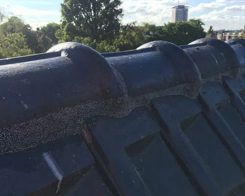 Nokvorsten aangesmeerd met specie op een blauw geglazuurd pannendak in Nieuwegein