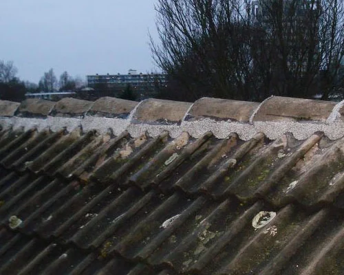 Verweerde nokvorsten met mos en korstmos op een pannendak in Nieuwegein